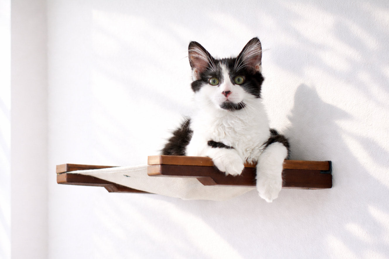 Hanging Cat Bed Hammock by Catastrophic Creations