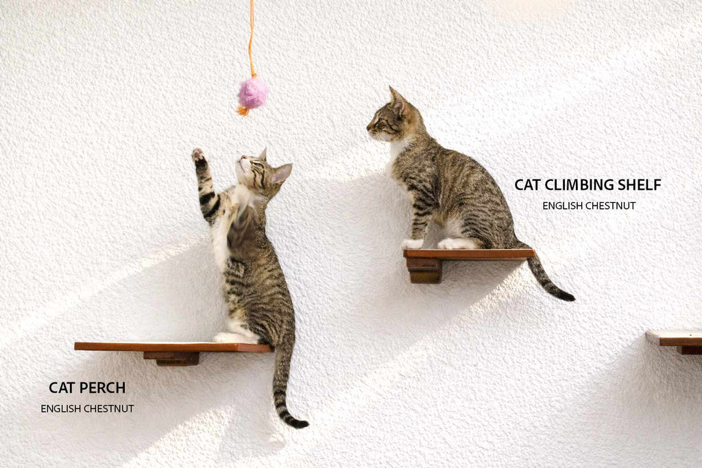 Cat Climbing Shelf by Catastrophic Creations