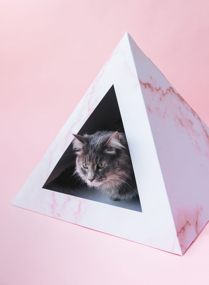 'Rose Quartz' Cardboard Cat Pyramid