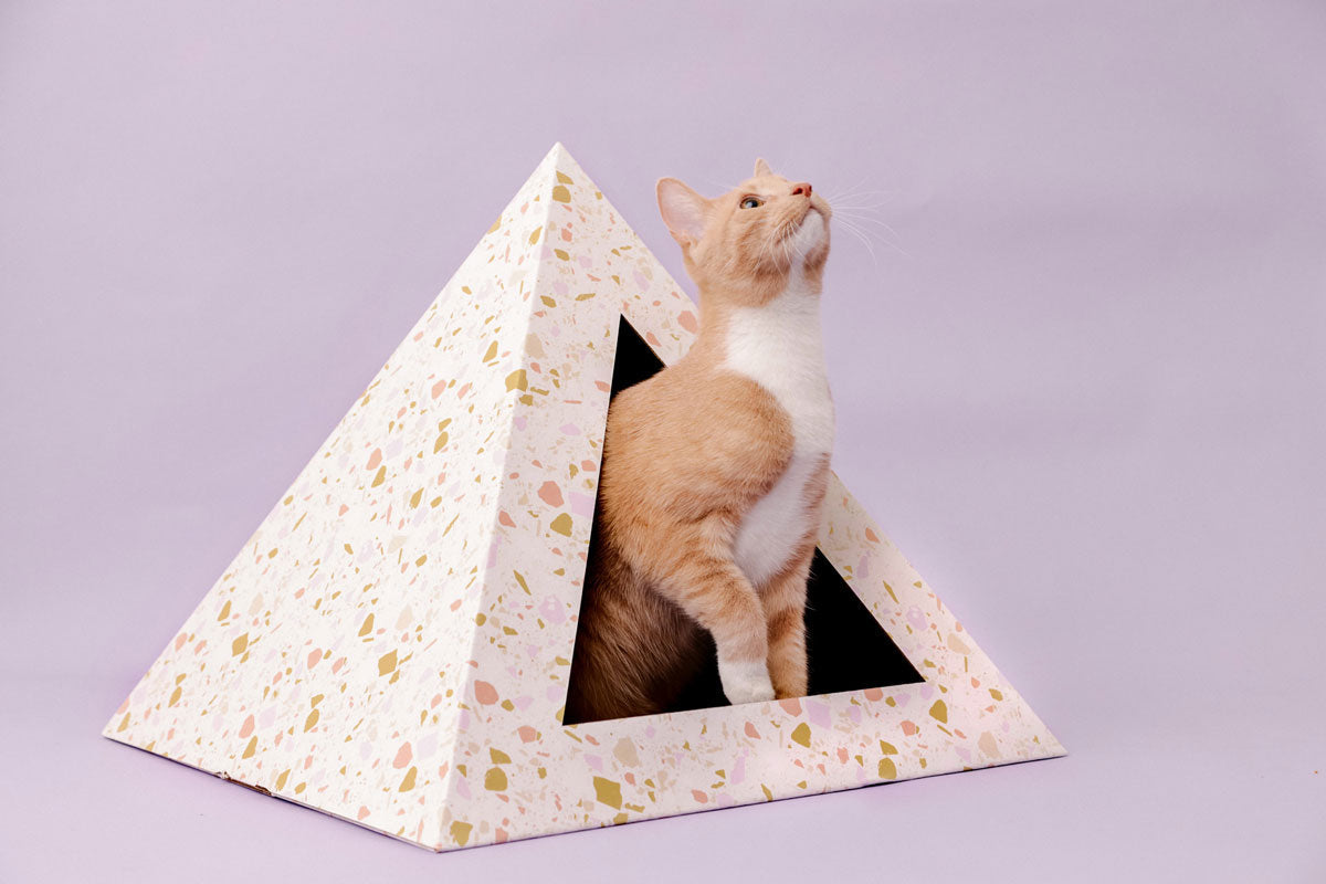 Terrazzo Cardboard Cat Pyramid by KittyKardboard