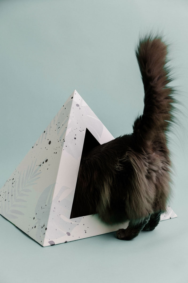 Oasis Cardboard Cat Pyramid by KittyKardboard