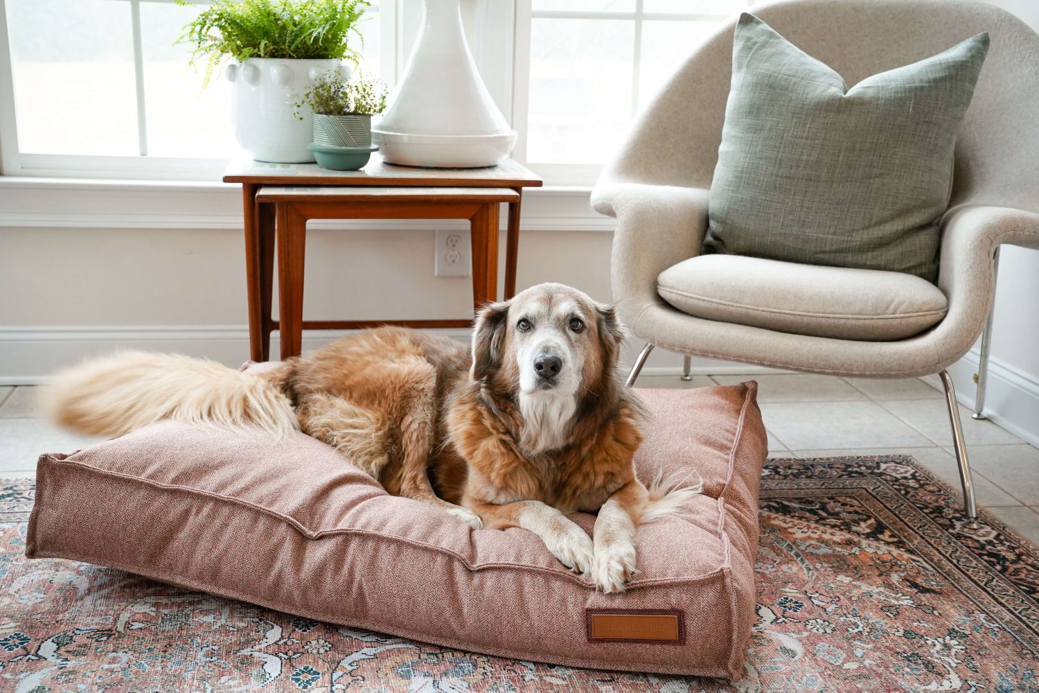 Lounger Pet Bed in Pittie Pink by Furr Baby Gifts