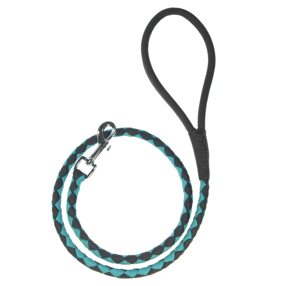 Soft Leather Dual-Color Braided Round Lead by Dogline