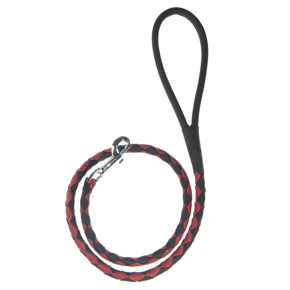 Soft Leather Dual-Color Braided Round Lead by Dogline