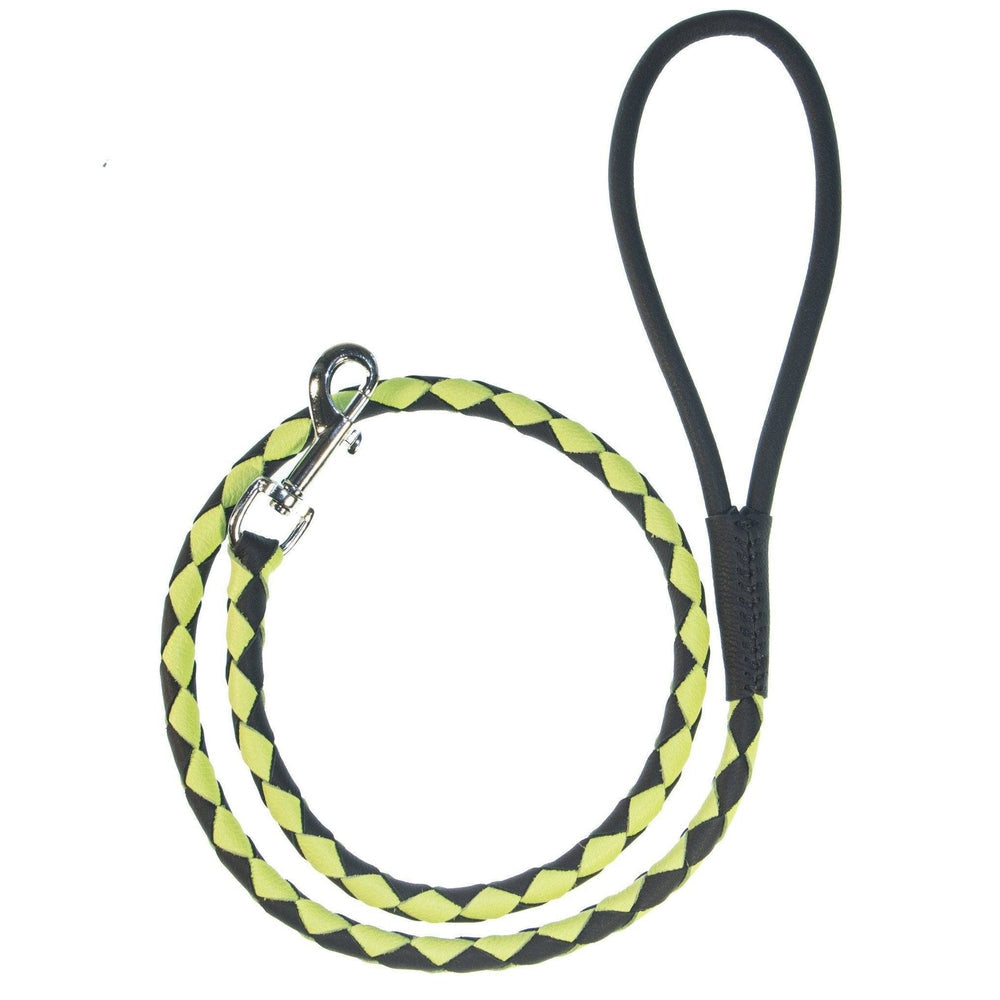 Soft Leather Dual-Color Braided Round Lead by Dogline