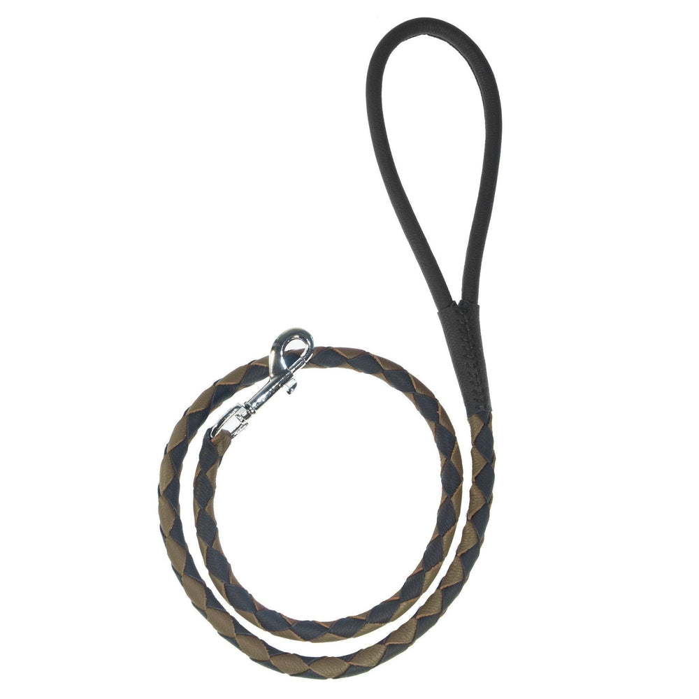 Soft Leather Dual-Color Braided Round Lead by Dogline