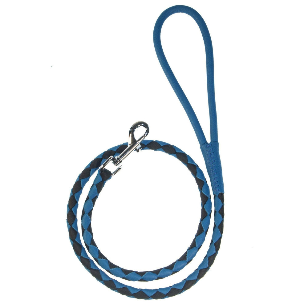 Soft Leather Dual-Color Braided Round Lead by Dogline