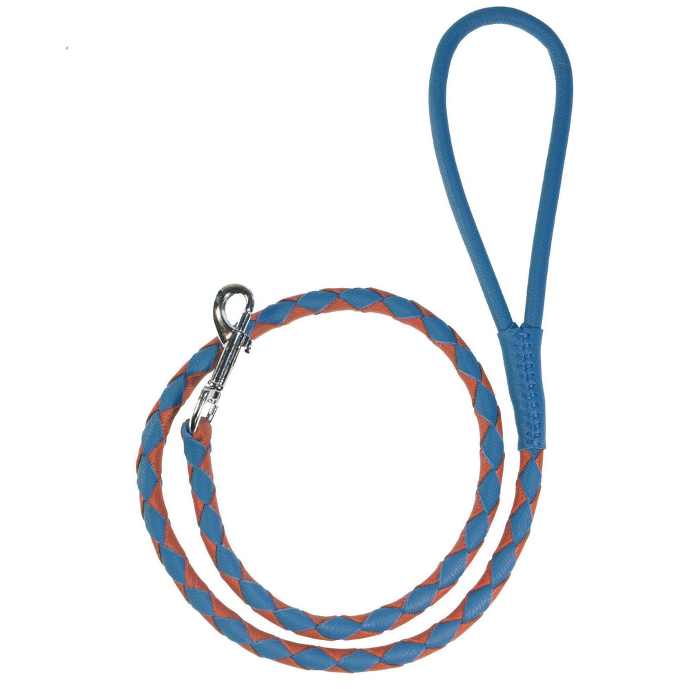 Soft Leather Dual-Color Braided Round Lead by Dogline