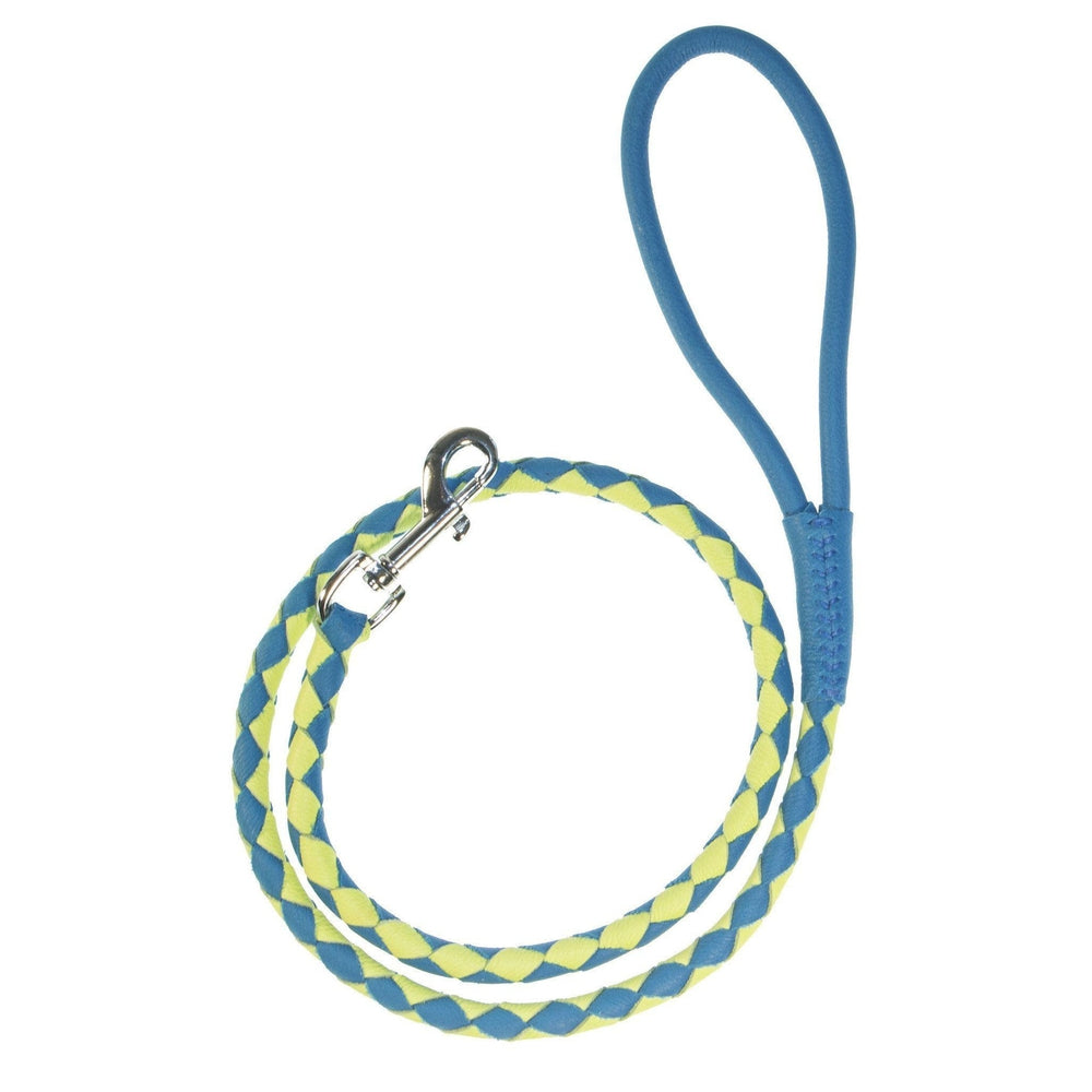 Soft Leather Dual-Color Braided Round Lead by Dogline