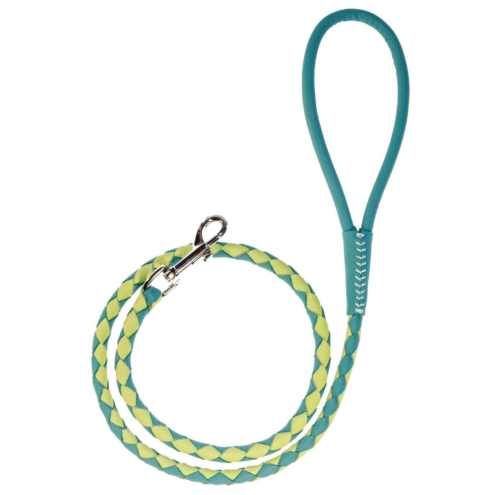 Soft Leather Dual-Color Braided Round Lead by Dogline