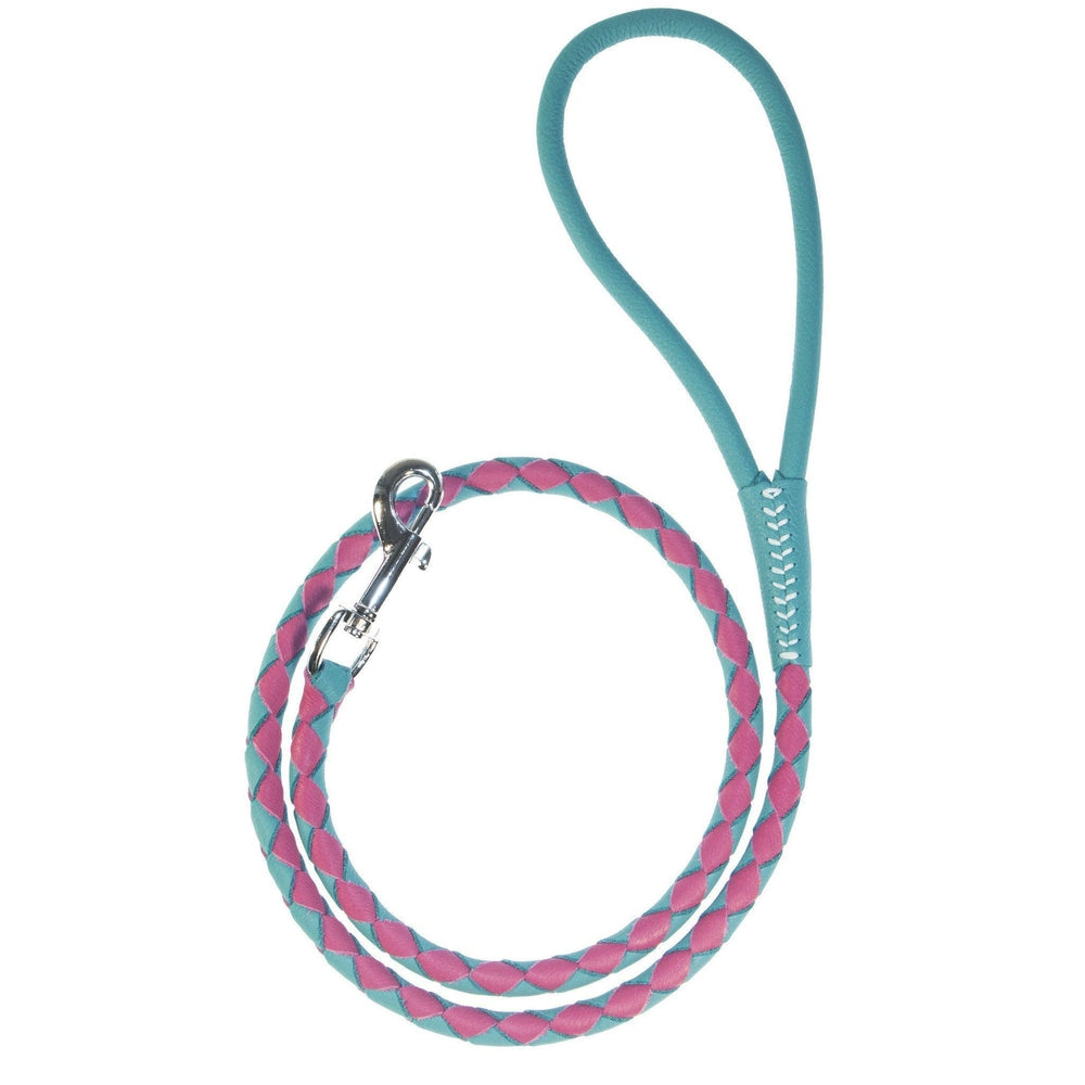 Soft Leather Dual-Color Braided Round Lead by Dogline