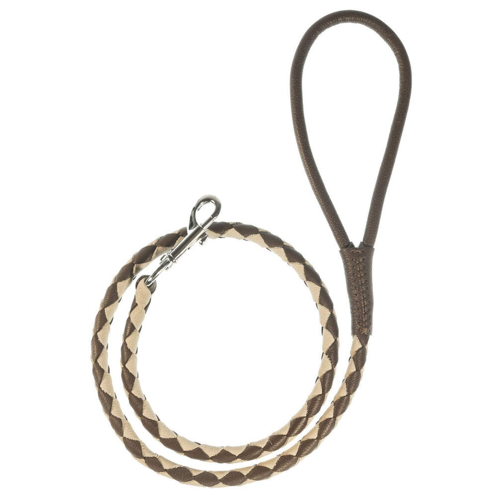 Soft Leather Dual-Color Braided Round Lead by Dogline