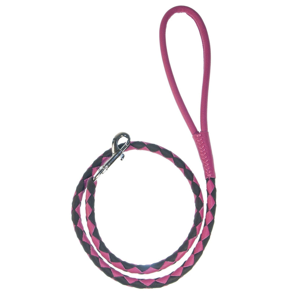 Soft Leather Dual-Color Braided Round Lead by Dogline