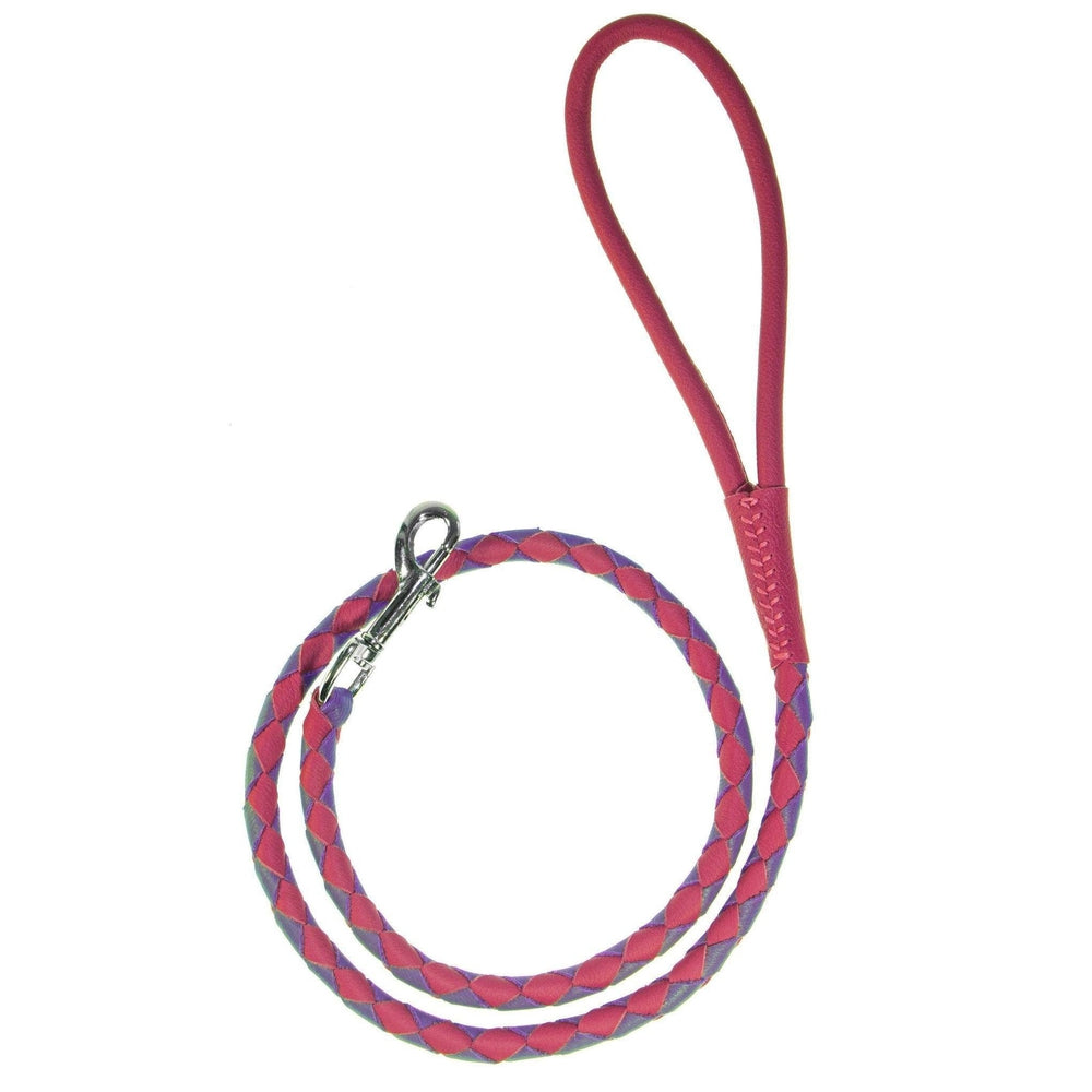 Soft Leather Dual-Color Braided Round Lead by Dogline