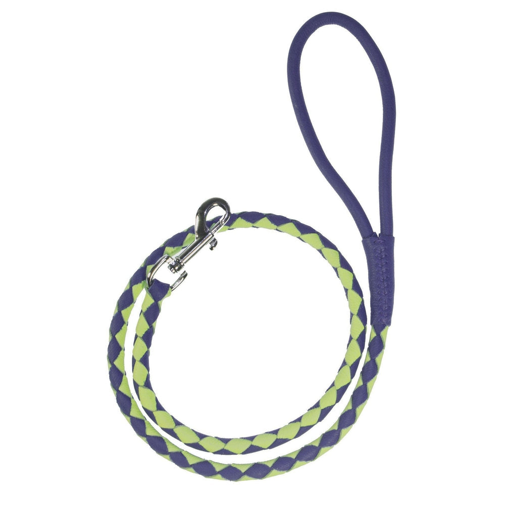 Soft Leather Dual-Color Braided Round Lead by Dogline