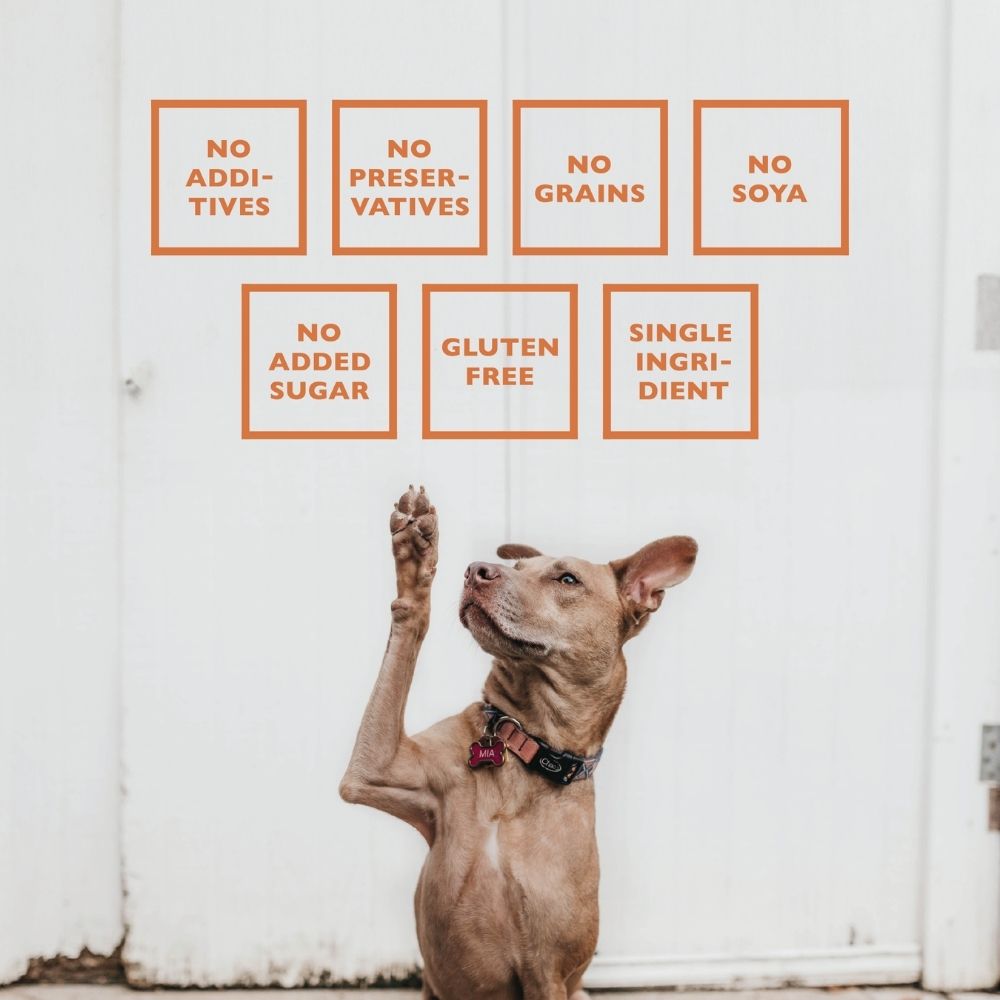 BAFFS NATURALS All-Natural Premium Lamb Lung Biscuits – 2 Pack (4oz Each) by American Pet Supplies