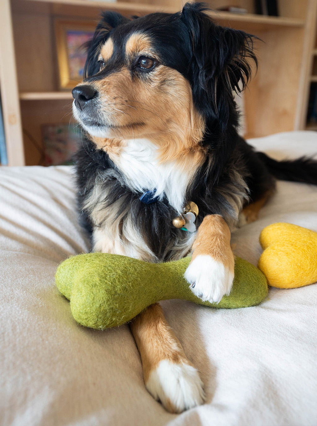 CLASSIC WOOLBONE DOG TOY by MODERNBEAST