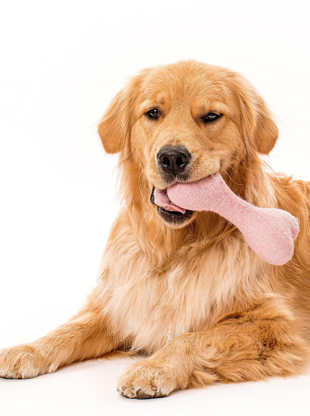 CLASSIC WOOLBONE DOG TOY by MODERNBEAST