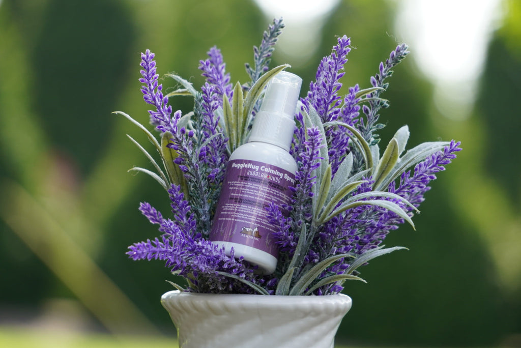 HuggleHug™ Lavender Bone & 2oz Calming Spray Dog Toy Set by HuggleHounds