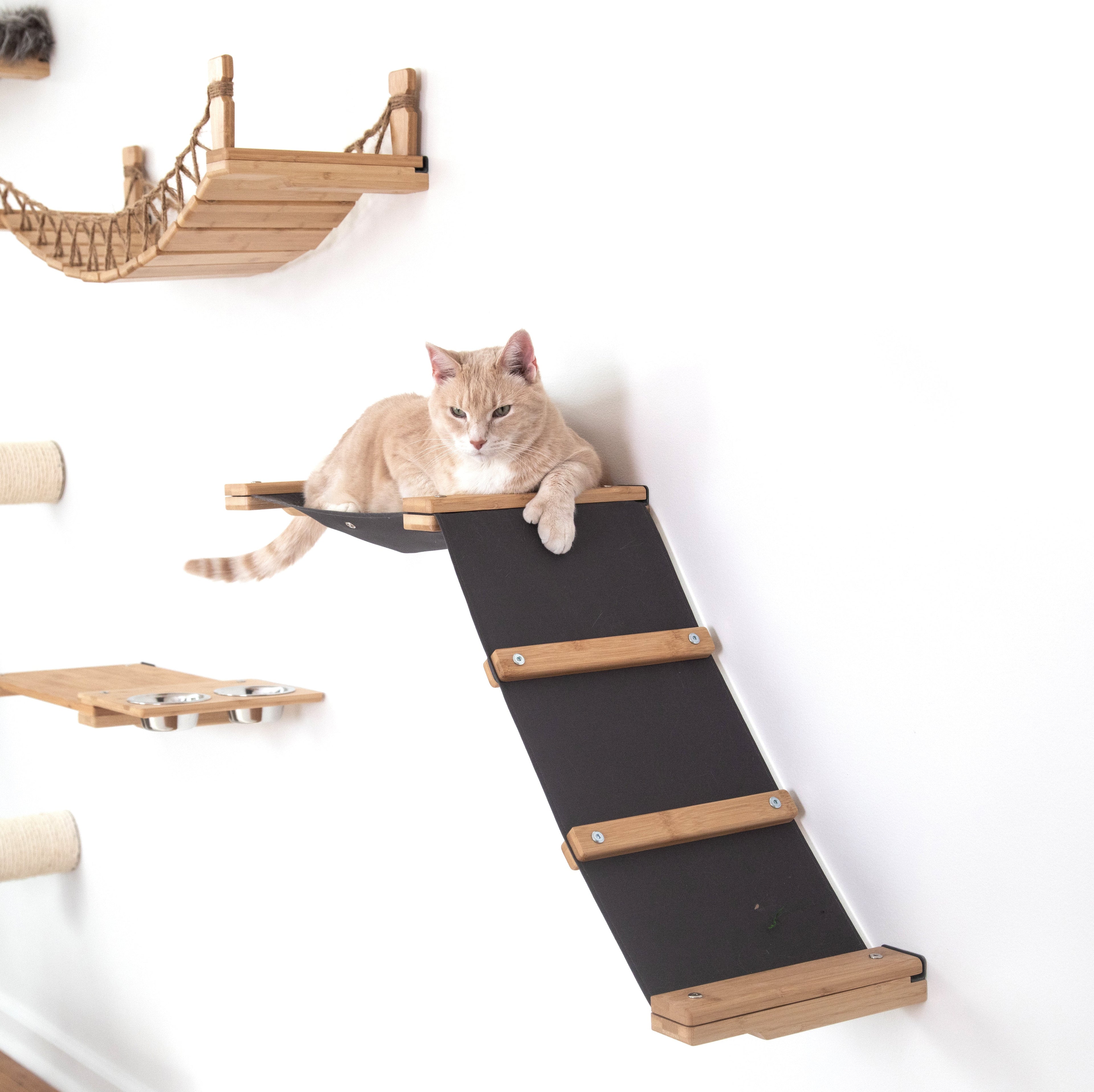 The Lift- Cat Hammock Bed by Catastrophic Creations