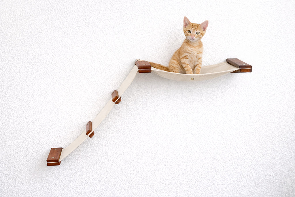 The Lift- Cat Hammock Bed by Catastrophic Creations