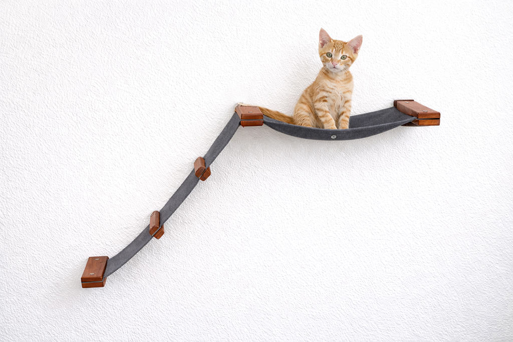 The Lift- Cat Hammock Bed by Catastrophic Creations