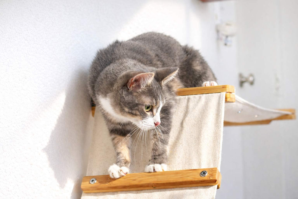 The Lift- Cat Hammock Bed by Catastrophic Creations