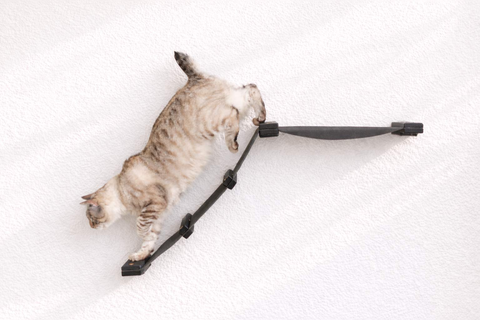 The Lift- Cat Hammock Bed by Catastrophic Creations