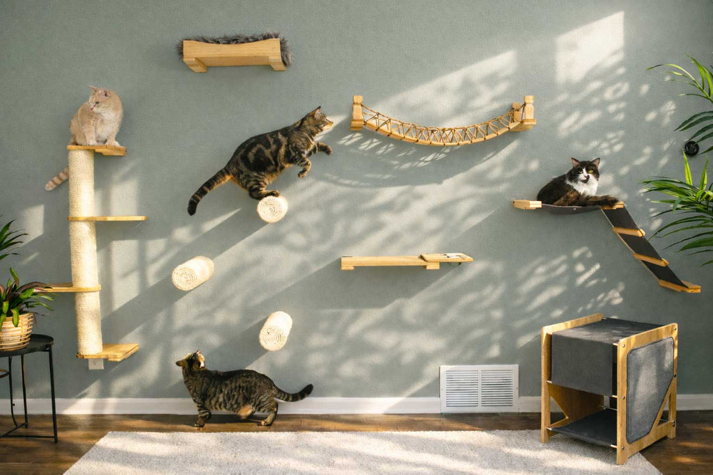 Wall Mounted Cat Shelf