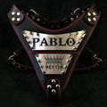 The "Metal" harness- Personalized! by Bestia Dog Gear