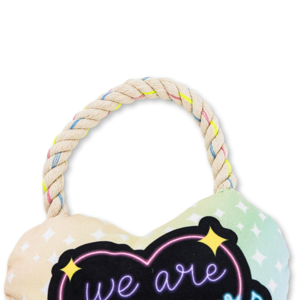 Love Heart Plush Dog Toy – with Squeaker & Crinkle Paper for Fun Play by American Pet Supplies