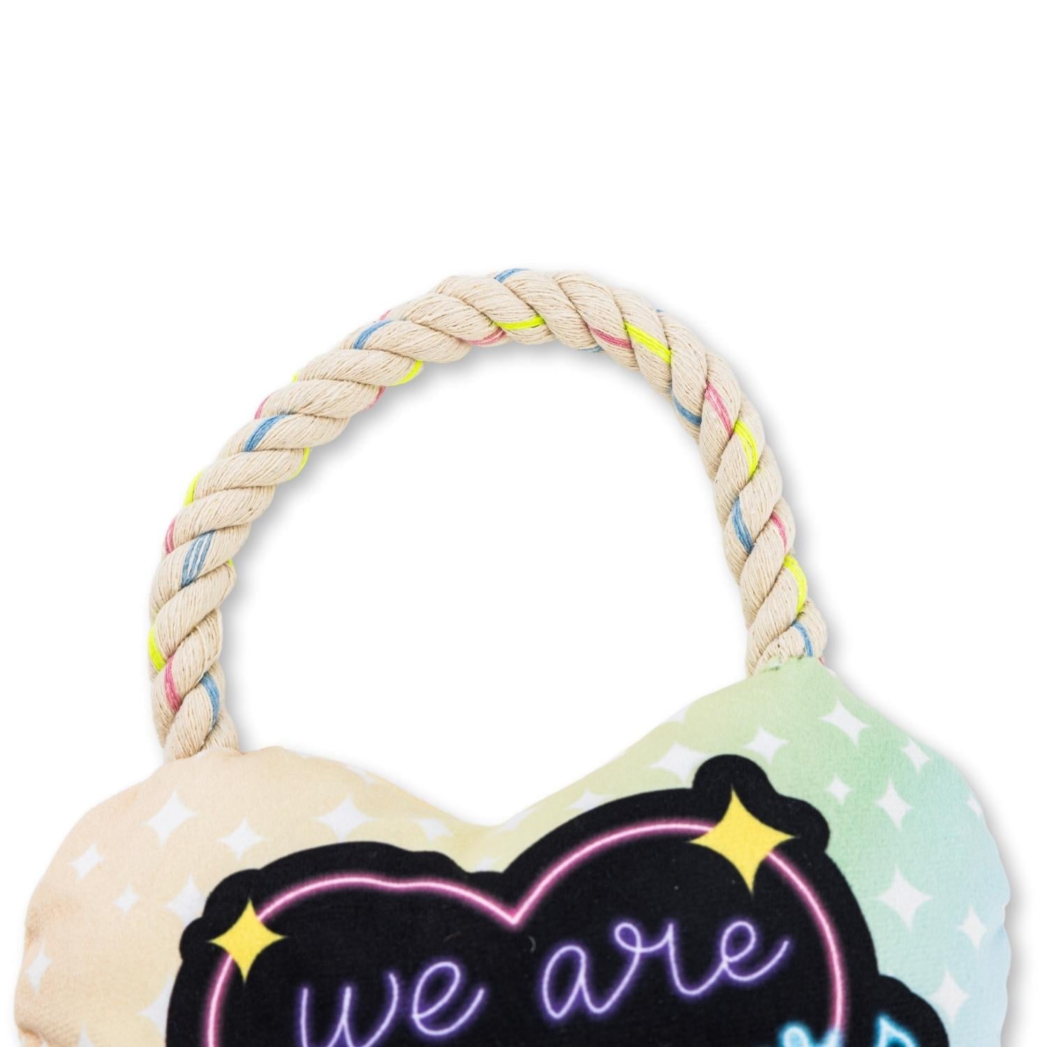 Love Heart Plush Dog Toy – with Squeaker & Crinkle Paper for Fun Play by American Pet Supplies