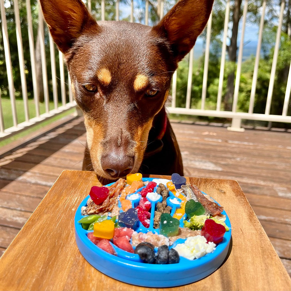 Air Nylon eCoin Lick Mat for Dogs - Durable Enrichment Toy | SodaPup by SodaPup/True Dogs, LLC