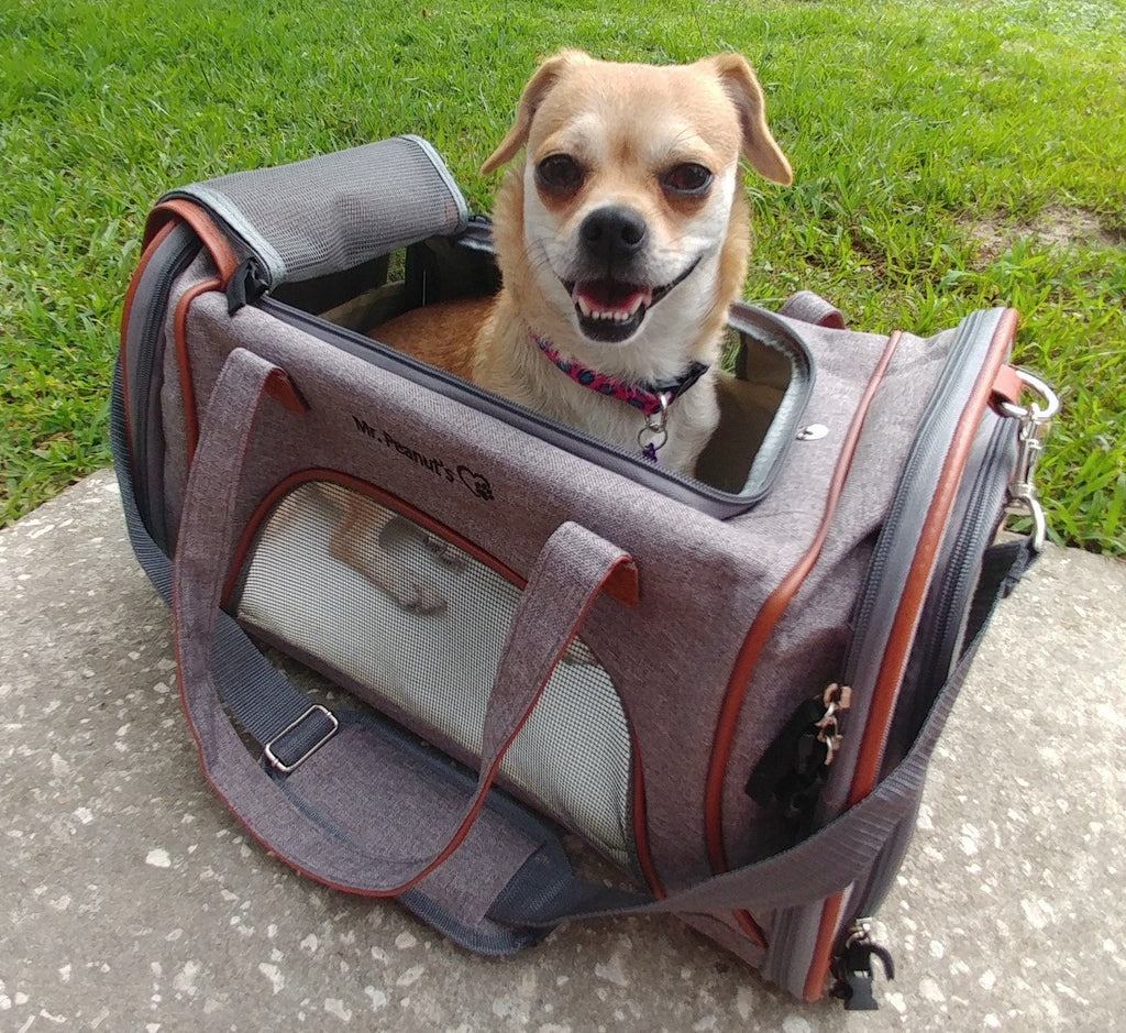 Mr. Peanut's Gold Series Standard Size Airline Compliant Pet Carrier by Mr. Peanut's Pet Carriers