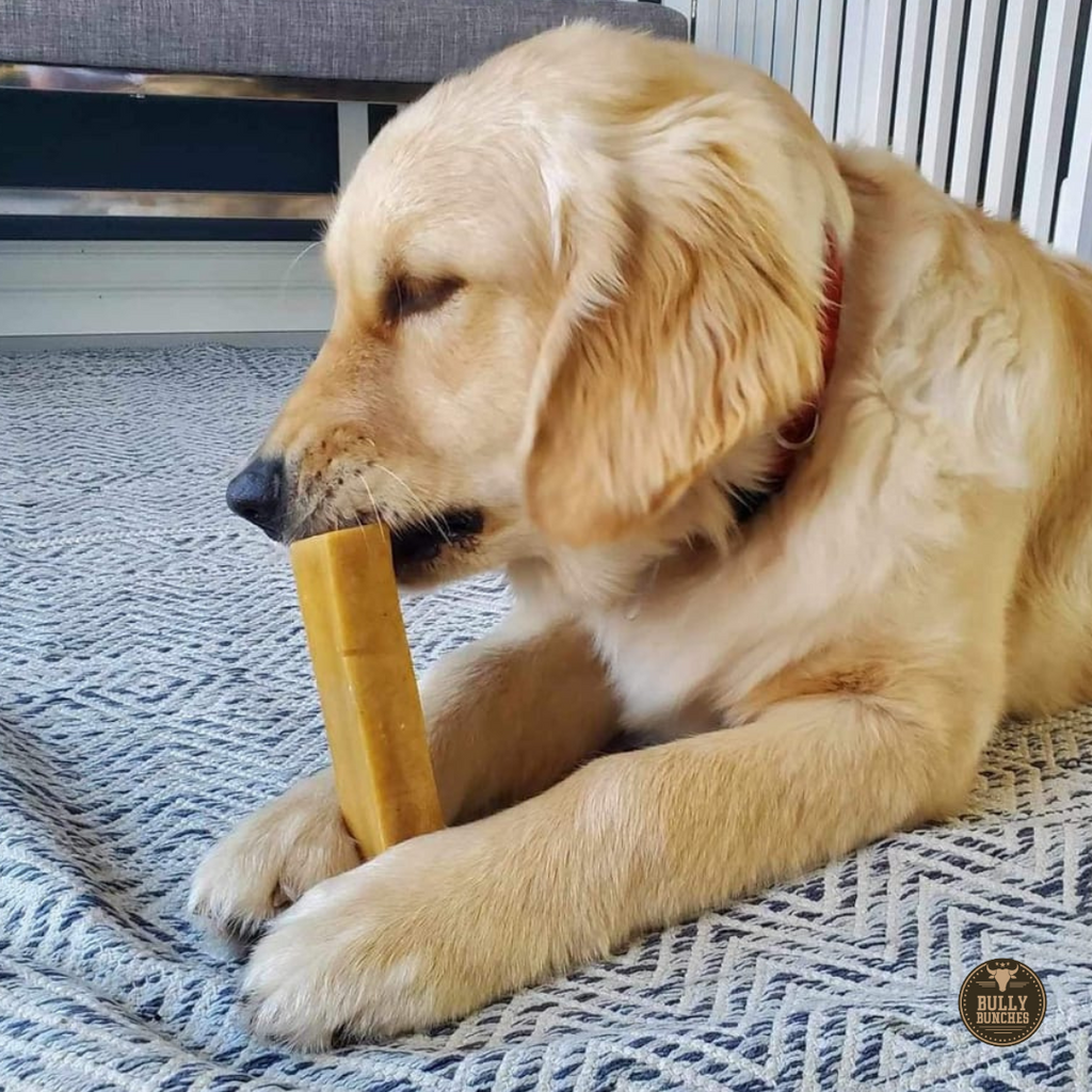 Himalayan Yak Chew (LARGE) by Bully Bunches