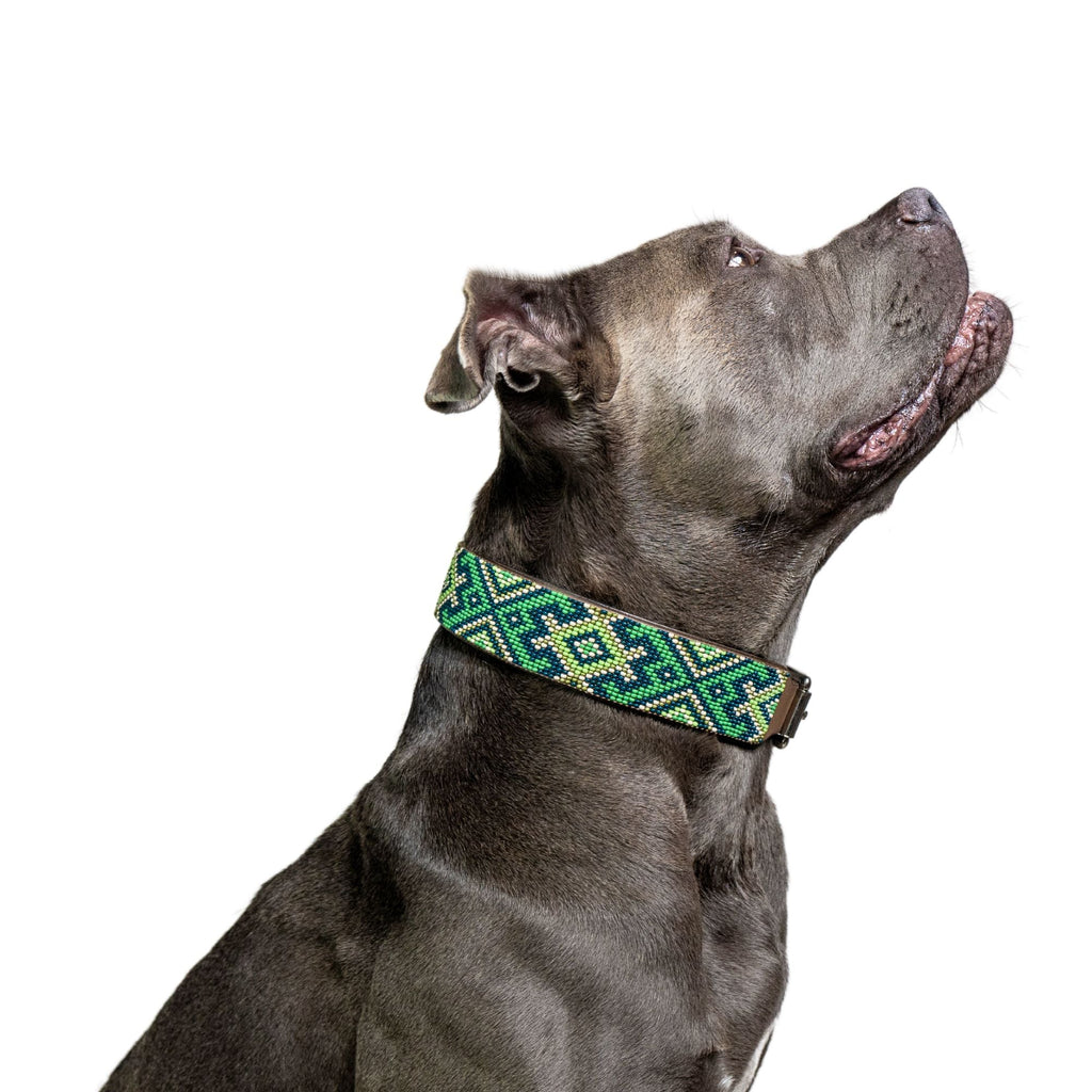 Lucky Sambboho dog collar by Sambboho