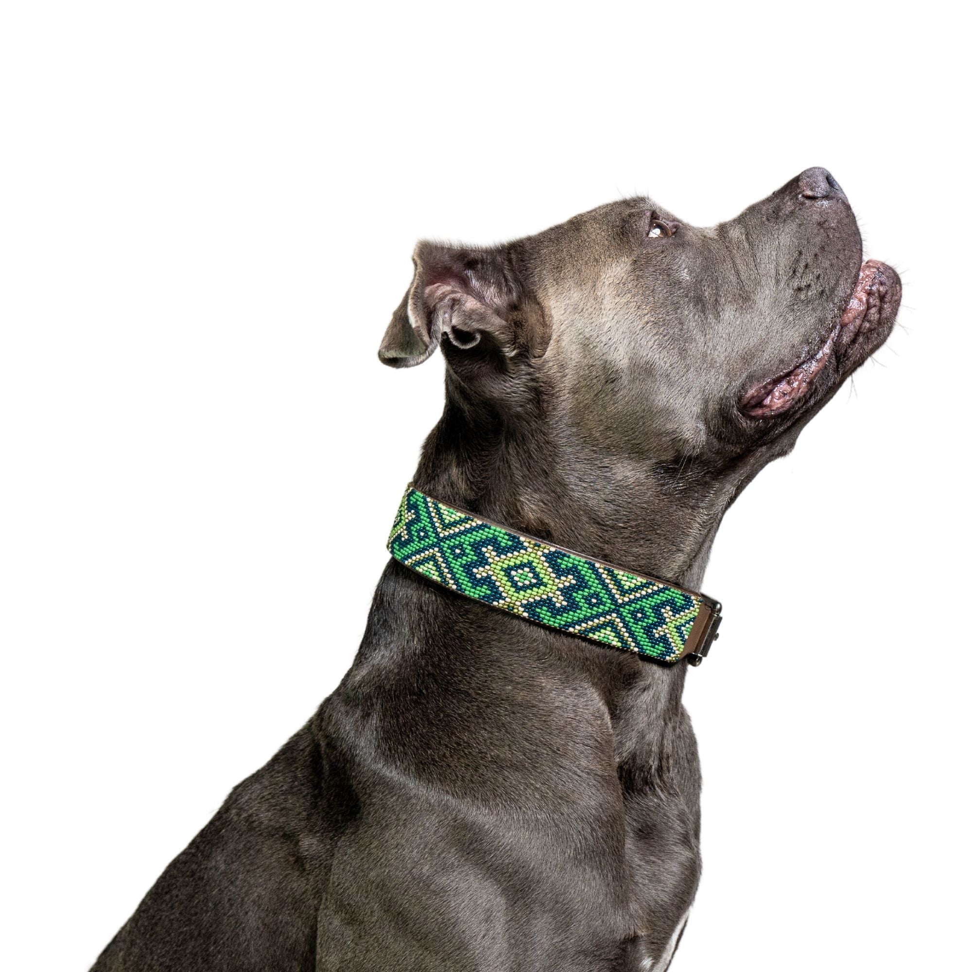 Lucky Sambboho dog collar by Sambboho