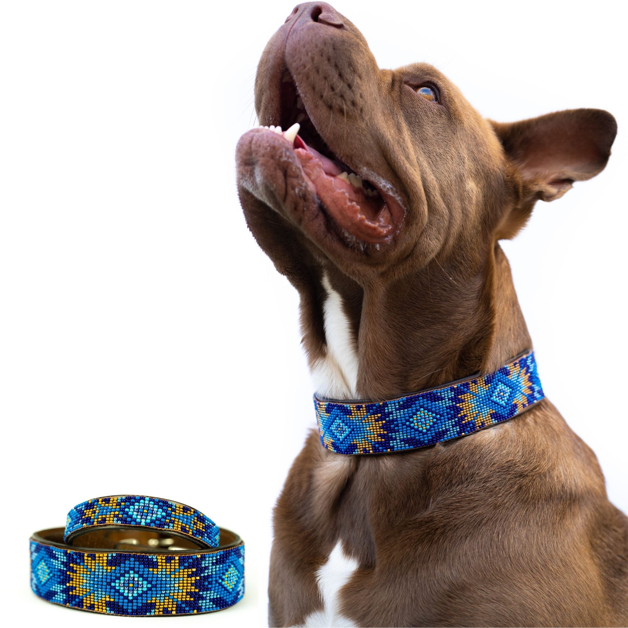 Maldives Sambboho dog collar (Glam Collection) by Sambboho