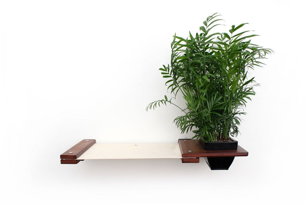 Cat Hammock Wall with Planter by Catastrophic Creations