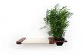 Cat Hammock Wall with Planter by Catastrophic Creations