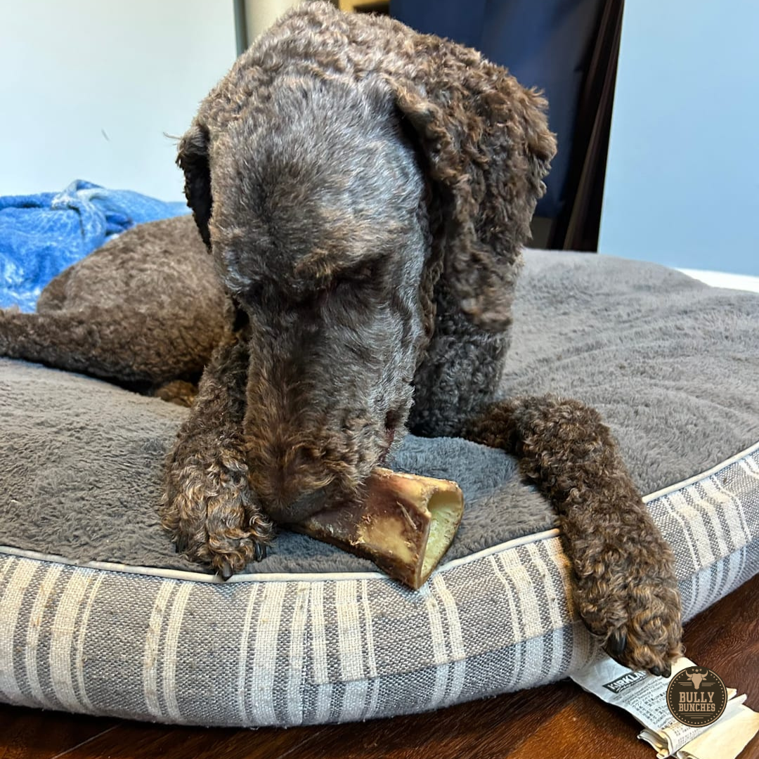 5-6 Inch Marrow Bone by Bully Bunches