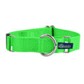 5/8″ and 1″ Neon Green Nylon Martingale Dog Collar by 2 Hounds Design