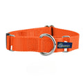 1″ Rust Nylon Martingale Dog Collar by 2 Hounds Design
