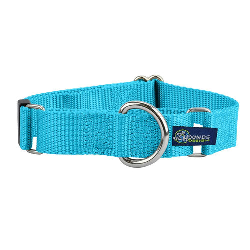5/8″ and 1″ Turquoise Nylon Martingale Dog Collar by 2 Hounds Design