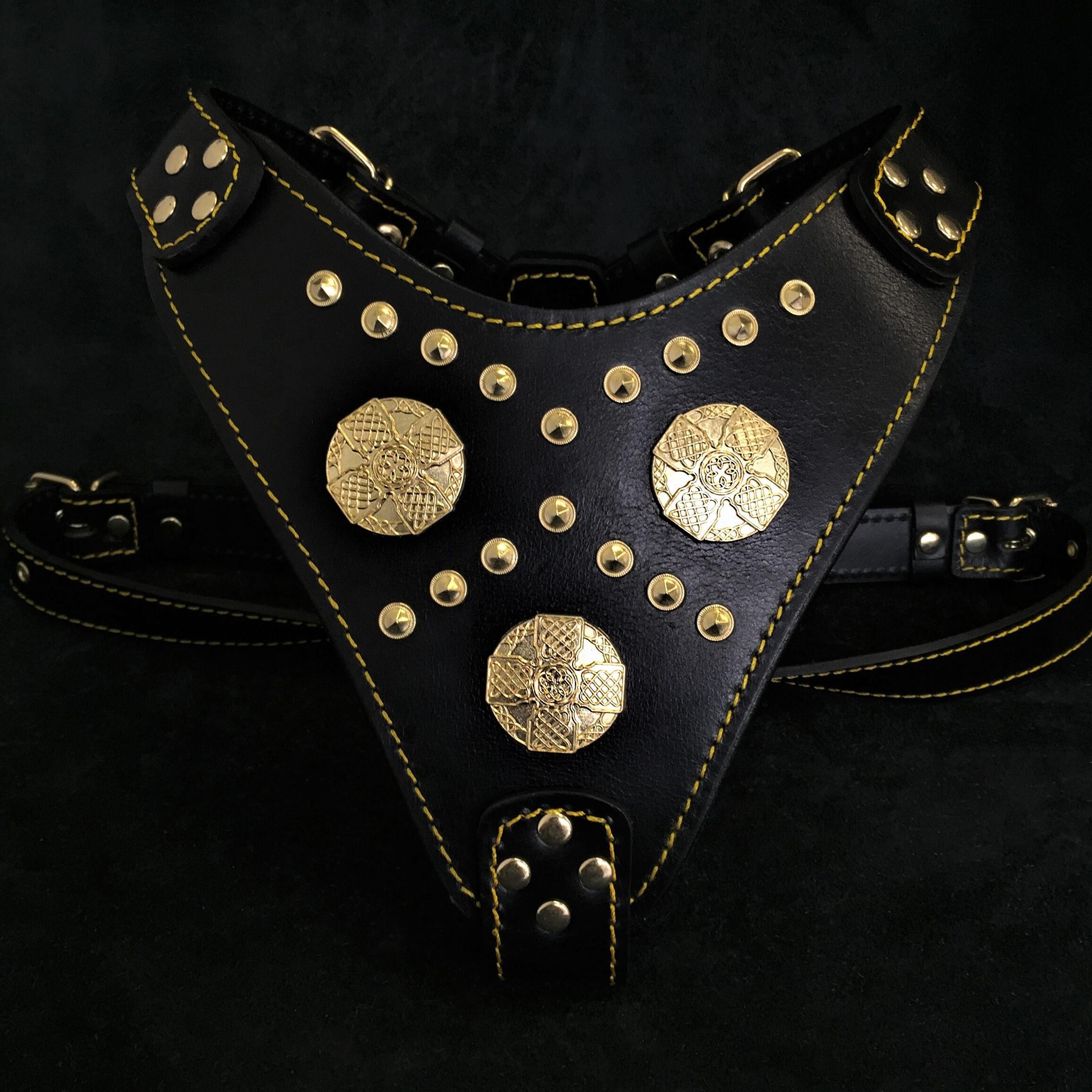 The "Maximus" harness black & gold by Bestia Dog Gear