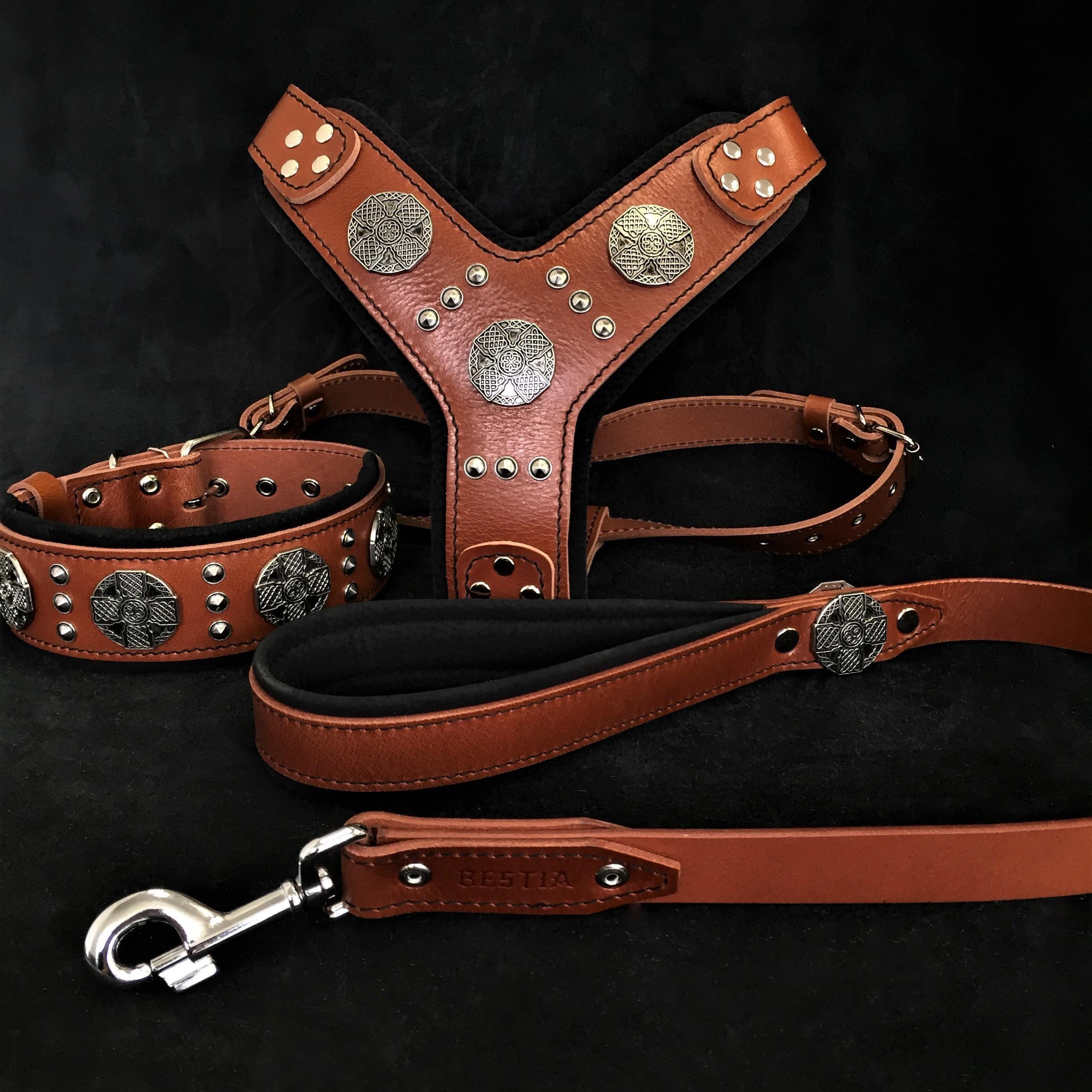"Maximus Silver" BIG dog SET- Harness - collar - lead. Brown by Bestia Dog Gear