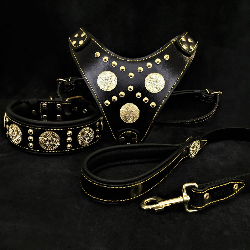 "Maximus Black" BIG dog SET- Harness - collar - lead. Brass rivets by Bestia Dog Gear