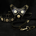 "Maximus Black" BIG dog SET- Harness - collar - lead. Brass rivets by Bestia Dog Gear