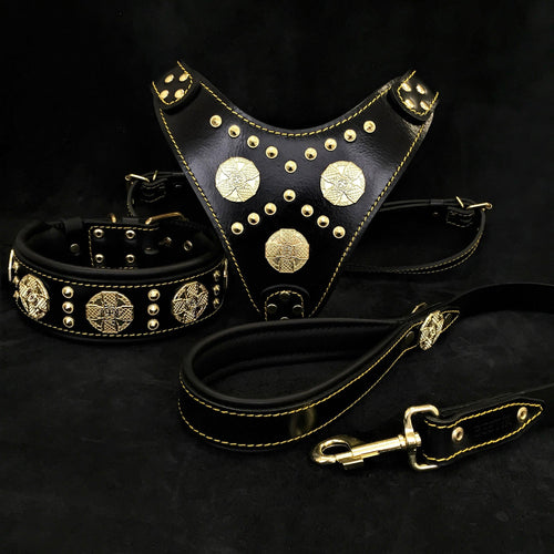 "Maximus Black" BIG dog SET- Harness - collar - lead. Brass rivets by Bestia Dog Gear