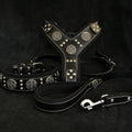 "Maximus Silver" BIG dog SET- Harness - collar - lead. Black by Bestia Dog Gear